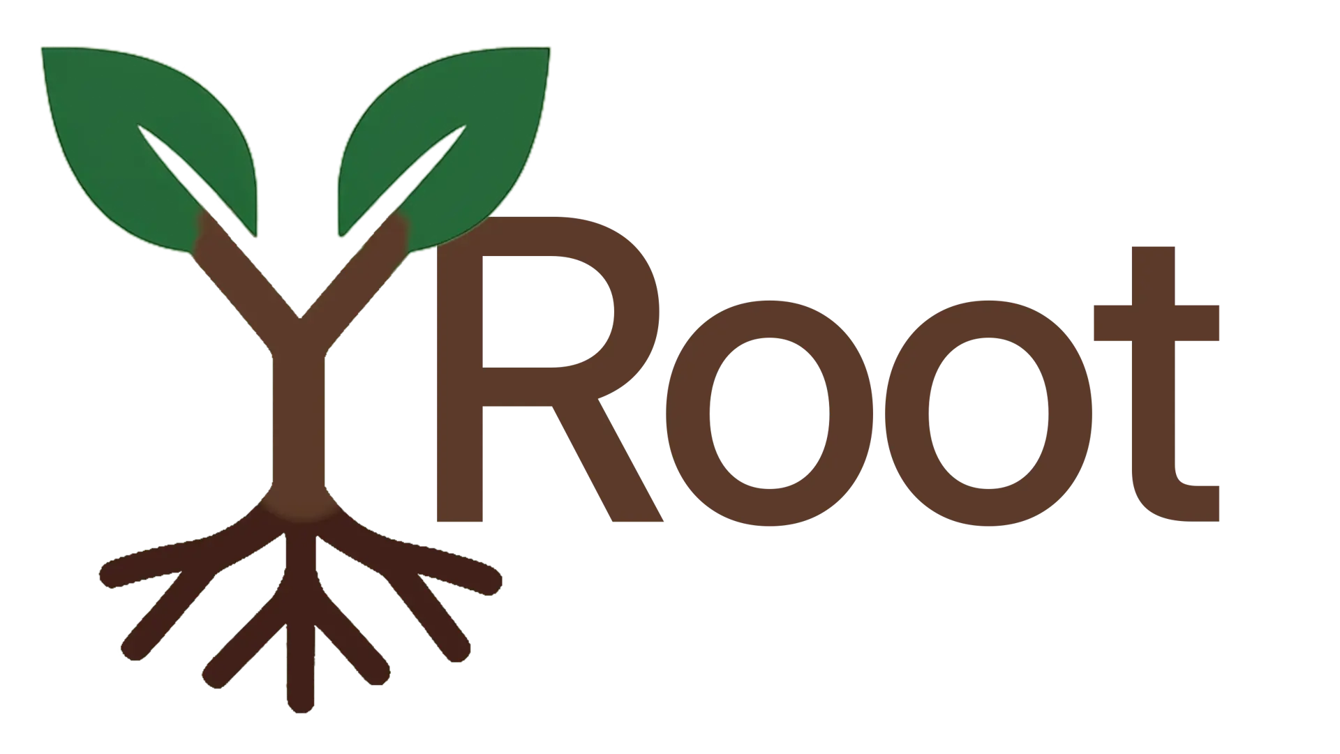 YRoot Coaching wordmark logo